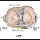 토정한의원 이미지