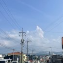 이녁 | [☕️제주 조천 카페추천] 이녁이랑 🐶애견동반