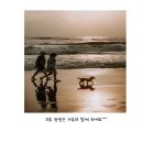 유경 행정사 이미지