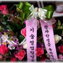 여성M파크병원