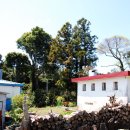 포토갤러리자연사랑미술관 이미지