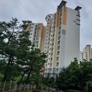 서울미플란트치과의원 이미지