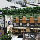 진주빈스토리