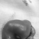 공원옆동물의료센터 이미지