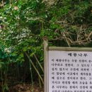 남간 이미지