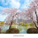 영산 만년교 이미지