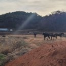 삼도파출소 이미지