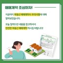 나우부동산중개 이미지