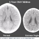 원보조기 이미지
