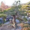 지리산 농장 이미지