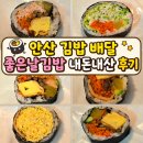 항상좋은날 | 안산 김밥 배달 좋은날김밥 내돈내산 후기