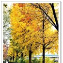 송정동-11 이미지