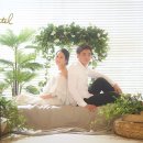 베베드피노 군산점 | 전주만삭사진/임산부일상/만삭촬영후기