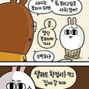 사치 이미지
