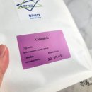 비칠사일일이 네이버블로그