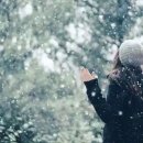 단순한 멜로디에 깊은 감정을 담아낸 노래... 눈이 내리면 이미지