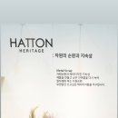 해튼 이미지