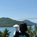지비지지 스튜디오