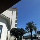 온수점현대자동차 | [해비치 리조트 제주] 5성급⭐️마스터 스위트 객실 후기(+마고 베이커리🍰🥐)