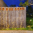 아이손원주 이미지