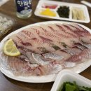 서부회센타 이미지