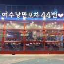 여수 맛집 낭만포차거리 44번 내돈내산 해물삼합 솔직 후기