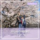 넥스렌트카 | 도교근교여행 오다와라성 벚꽃명소 산책명소 나리타공항 귀국편 오다와라여행2
