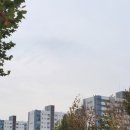 미도마트 이미지