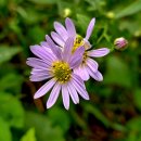 황령산 정상체육시설 | 황령산 산길 따라 시선 따라 산책하며 힐링~^^