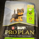 퍼피플랜 | 성장기 먼지를 위한 퓨리나 프로플랜 스몰앤토이 퍼피 급여 후기