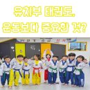 용이 아이스타 태권도&점핑클럽 | 유치부 태권도, 운동보다 중요한 것!? - 용이동태권도