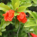 예천군문화회관 이미지