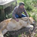 호랑이형제 이미지