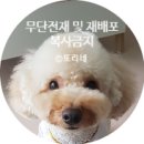 궁노래존 이미지