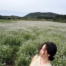 우정자동차정비 | 제주 비밀의숲 & 용눈이오름 내돈내산｜인생사진 100장 건진 제주 동쪽 여행코스