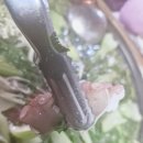 속풀이마당 | 안산 산낙지 연포탕 맛집! 선부동 백제골 낙지마당! 제철인 겨울에 직접 잡은 산낙지로 몸보신하세요~!