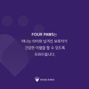포포즈 반려동물 장례식장 경기광주점 이미지