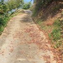 진 농장 이미지