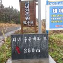 애월주유소 이미지