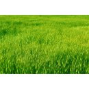 유진자동차병원 이미지