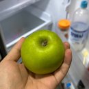 덱스마학원 | 장발장은 빵 하나 훔쳐서 19년 깜방생활했는데 나는 너 입술 훔쳐서 평생 같이 살려고