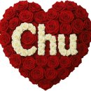 📣☘️전국노래자랑 단체버스 부산에서 출발합니다. 경상분들 함께 가세요☘️📣 이미지