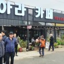 욕지 출렁다리 이미지