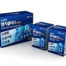 지플러스 이미지