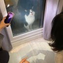 유로빌리지 2단지 | 유로빌리지 : 군산 숙소, 유로빌리지 40평 프레스티지, 군산 단체 펜션, 가성비 군산 단체 숙소 추천