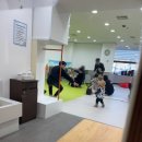 베베카우 이미지