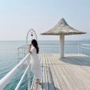 섬심카닥터 | 네이버 가정의달 + 세일 일본이심 추천｜이시가키이심 eSIM 로밍도깨비 무제한 통화가능 후기