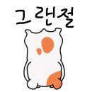 여수 데이트코스 추천, 여수 영화관 메가박스 여수웅천점, 씨네패밀리 이용 할인 꿀팁