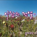 ■시인 이정록 교수 작품 몰아서 감상하기■= 시낭송 모음 | 가곡 모음 | 생방송 모음 | 라이브 커머스 이미지