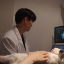 윤그루밍 이미지